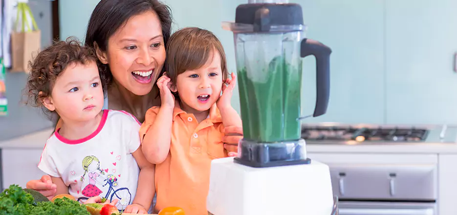 Juicer and Mixer Blender Repair in South Boston 