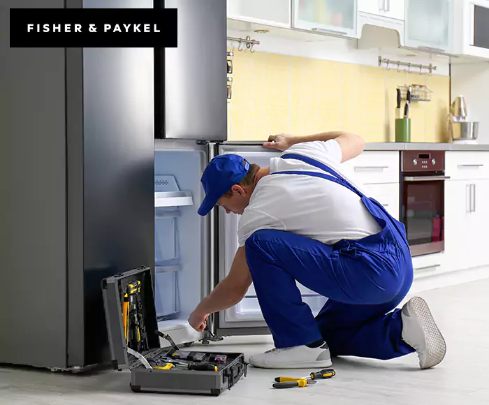 Top-Rated Fisher & Paykel Appliance Experts: Your Brand Specialist in South Boston, MA